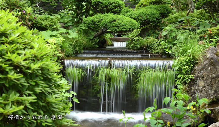 檸檬から眺める　庭園