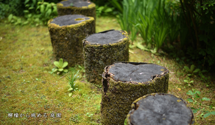 檸檬から眺める　庭園