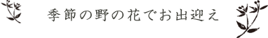 季節の野の花でお出迎え